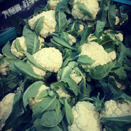 东台市白花菜花  大量供应有机花菜