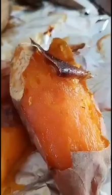 蜜薯蜜薯25糖心流油，软糯香甜，红皮红心，品质保证，长期合作