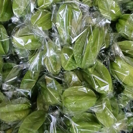 化州市 香蜜杨桃，生熟都有，