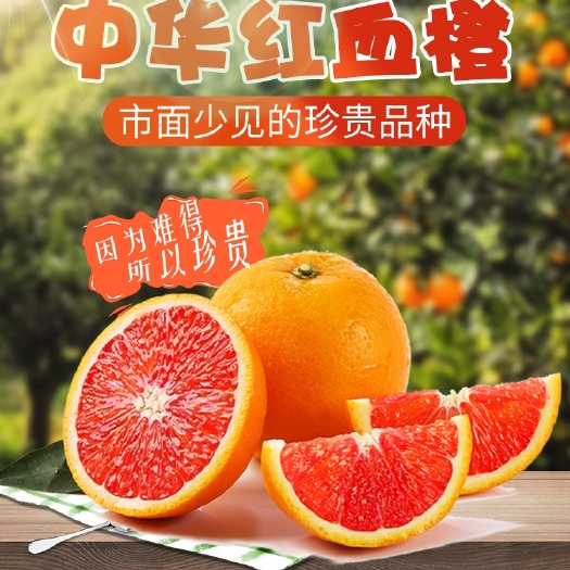 秭归县塔罗科血橙  秭归血橙中华红橙子应季水果新鲜红心脐橙 3斤5