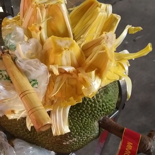 深圳泰国菠萝蜜 大个亮