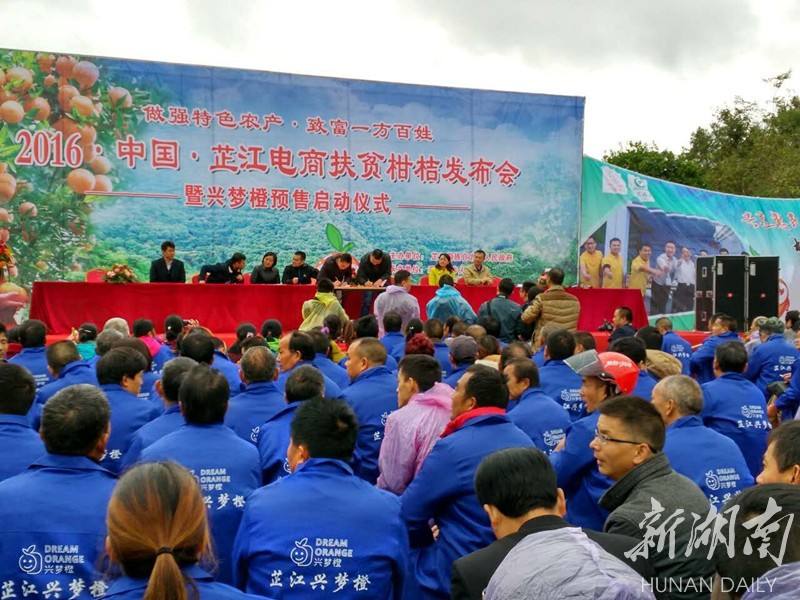 湖南芷江禾梨坳冰糖橙扶贫品牌