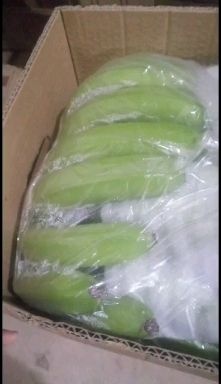 邯郸河口香蕉  常年供应生蕉，熟蕉，不黑心不硬心，口感好
