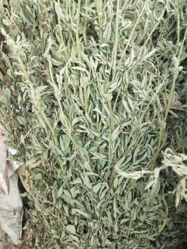 南江县 仙鹤草