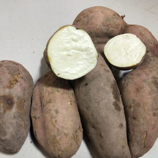 交城县大红袍红薯 6两~1斤 红皮