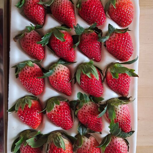 奶油草莓  牛奶草莓