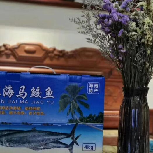 海口新鲜马鲛鱼