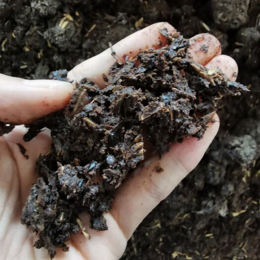 仁怀市坤子酒糟高粱和康壳，康壳百分之40高粱百分之60