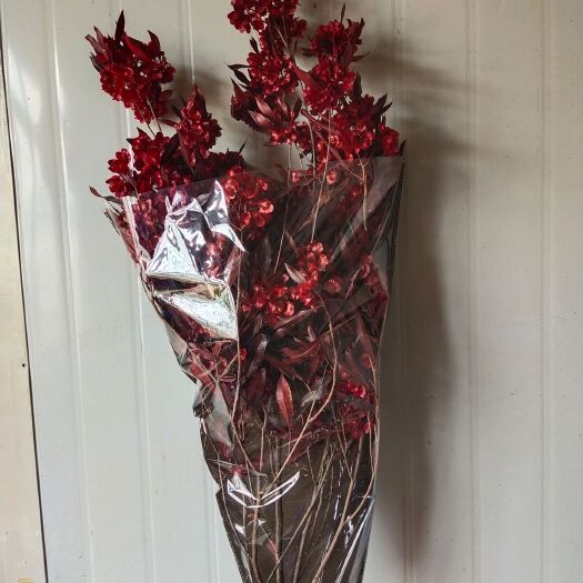 宜良县紫花风铃木  迎客豆永生花，颜色正
