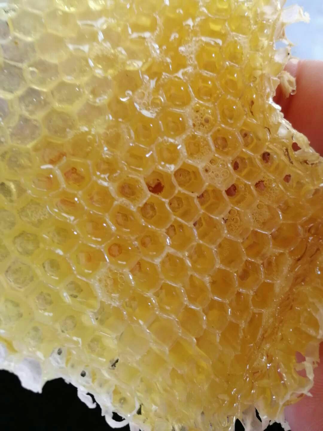 野生蜂蜜  土蜂蜜自产自销，批发零售，全国各地包邮，保证质量