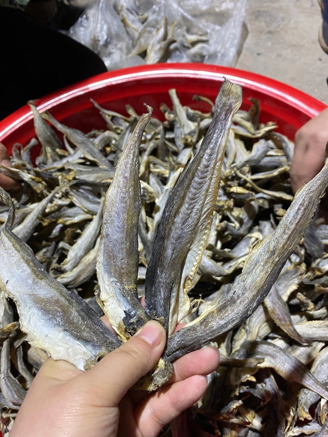 龙头鱼  深海小龙鱼干去头去尾去内脏的半干纯干货两种规格地摊火爆好产品