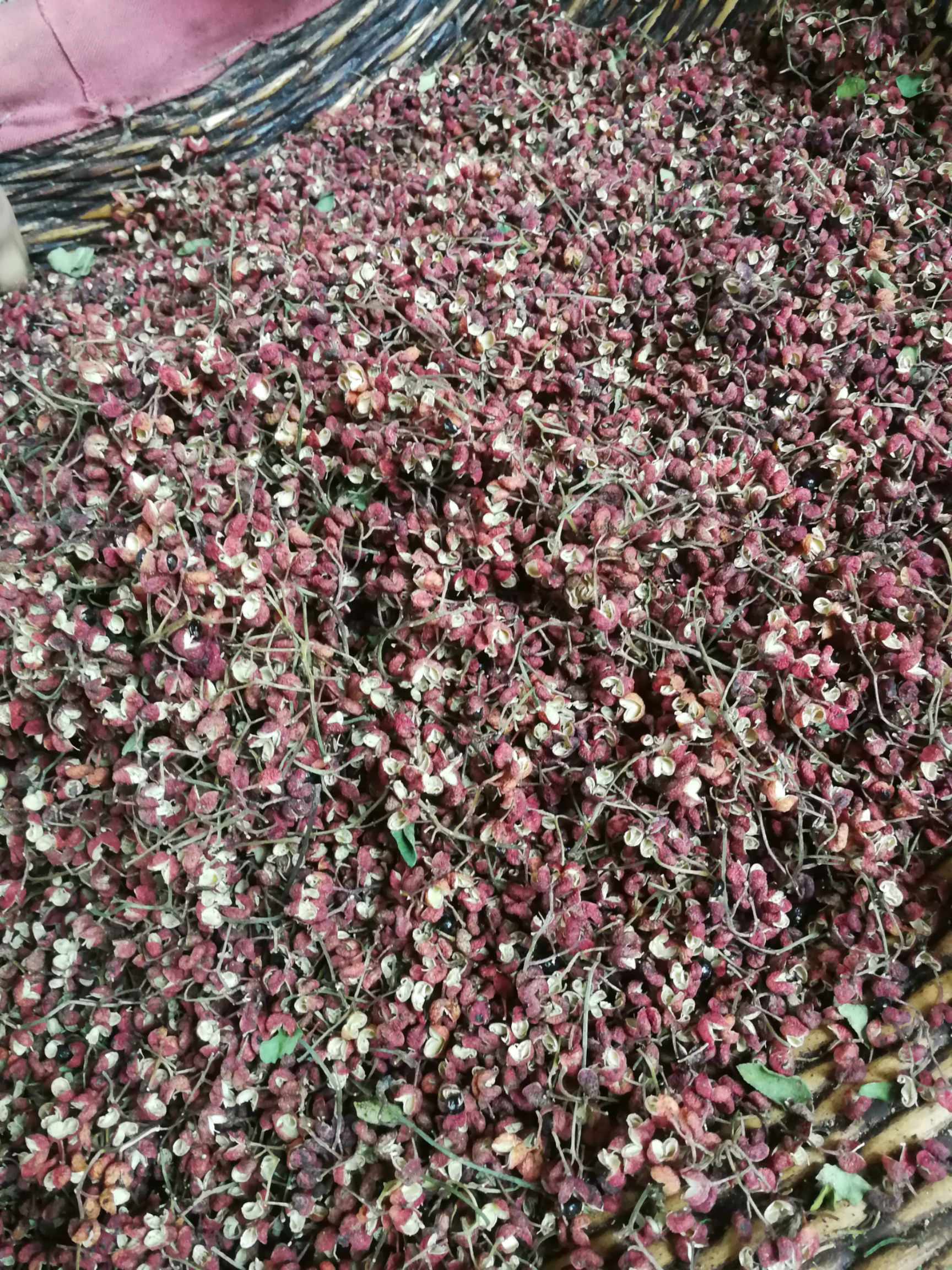 江津花椒 自己家种的花椒，包邮！