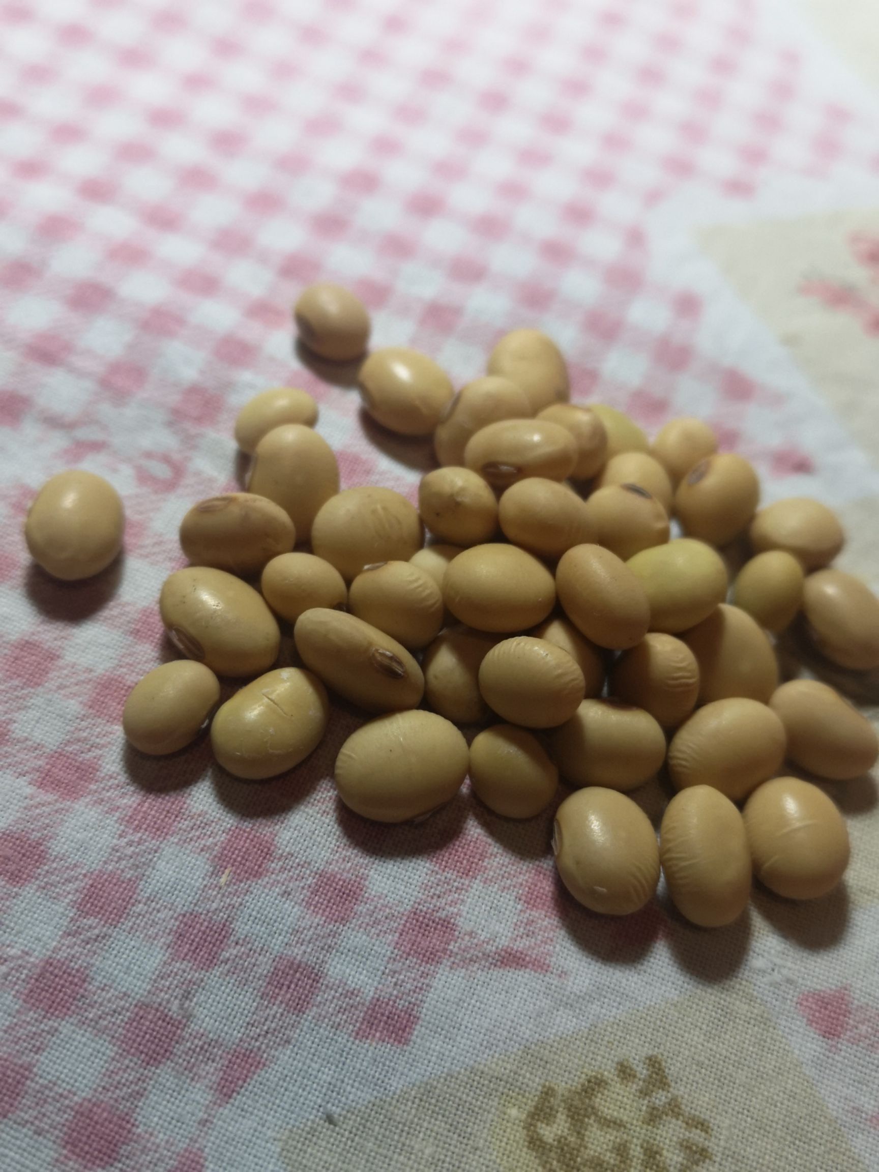 大豆  传统黄豆，级别