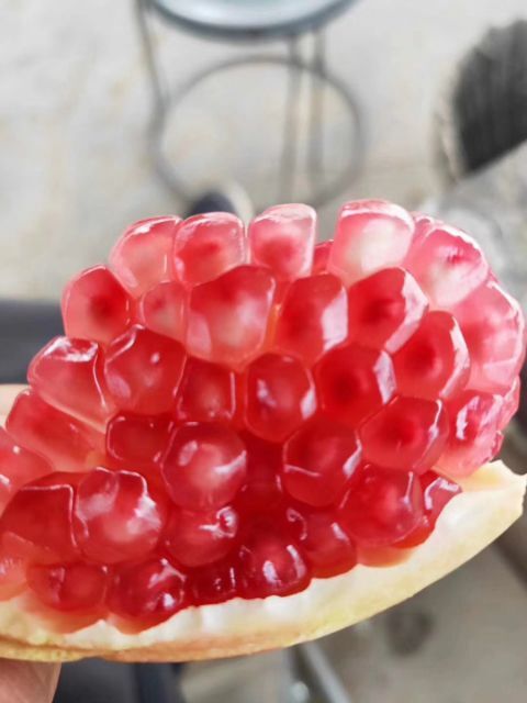 镇宁县红如意软籽石榴树苗 突尼斯软籽石榴，基地有苗现货直供