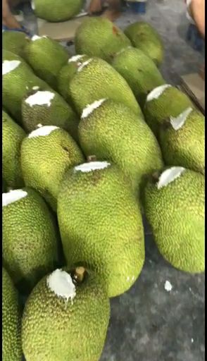 越南红肉菠萝蜜
