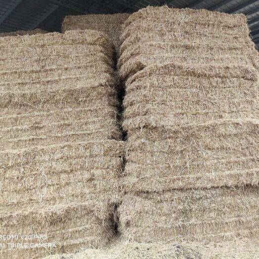 漯河粉碎揉丝小麦秸秆，二次加工揉丝除尘套袋。