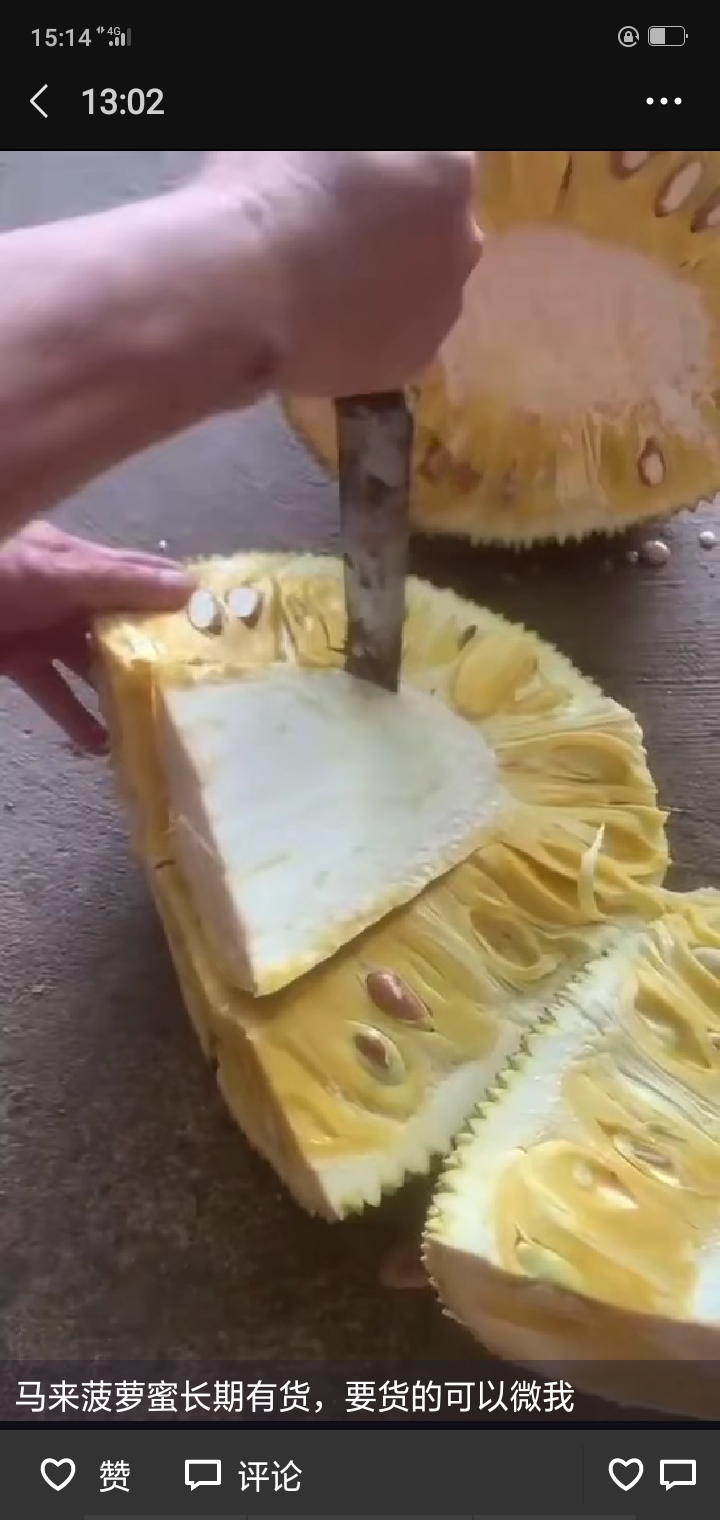 越南菠萝蜜 越南黄肉菠萝蜜（代购）