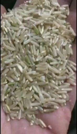南充四川本地大米软糯香系列，自产自销。生长全程无肥料无农药栽培