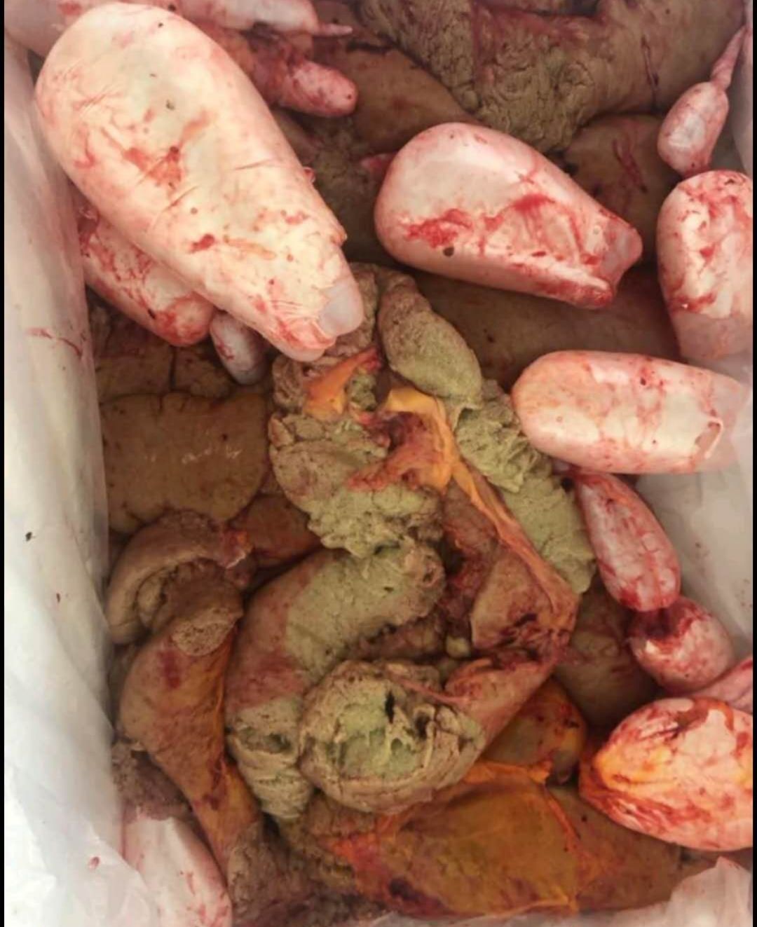 鲤鱼籽  鱼籽