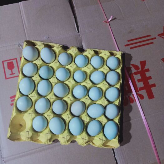 钟祥市单色双色绿壳鸡蛋土蛋