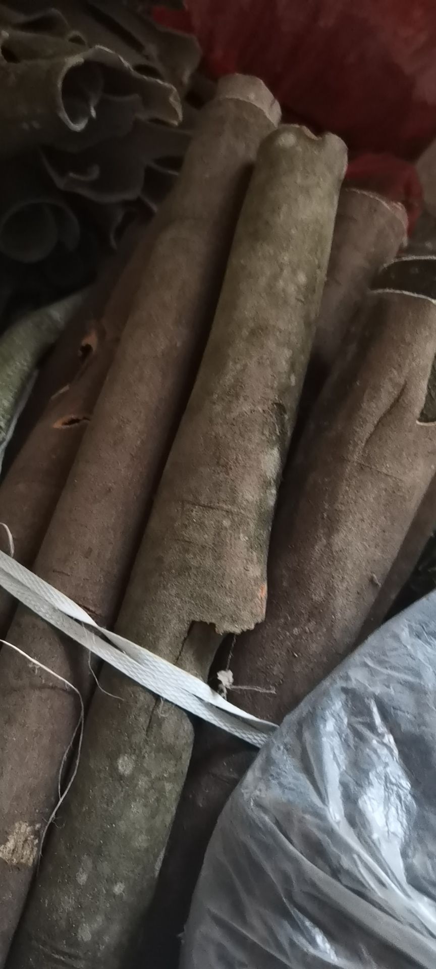 中通桂皮  贵州中药材香料 山桂皮 香桂皮 量大包邮