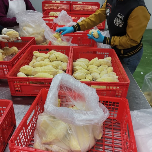 泰国金枕榴莲 泰国南部郎隼榴莲冻肉工厂海运直发中国港口价格70元一公斤