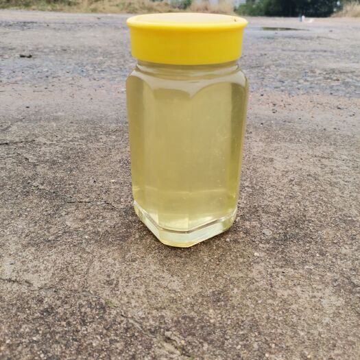 浠水县槐花蜜 批发零售各种蜂蜜，蜂王浆，蜂胶，蜂花粉