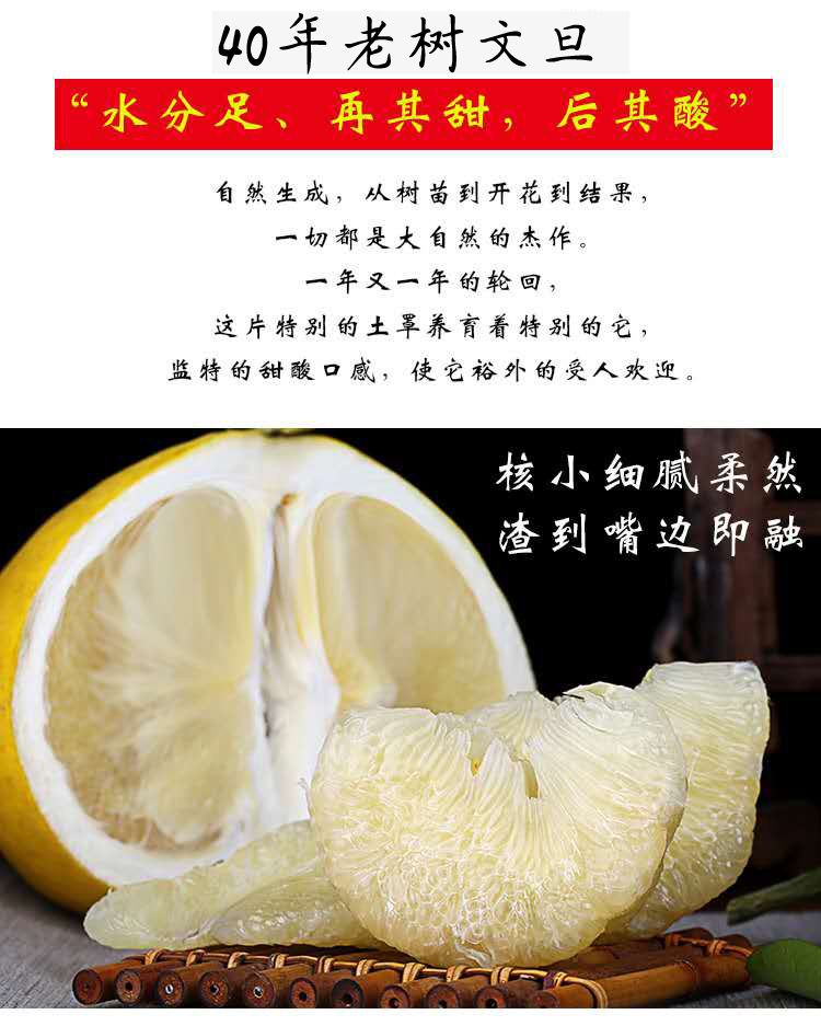 2026浙江玉环文旦柚子，四大名柚纯种老树蜜柚非沙田柚