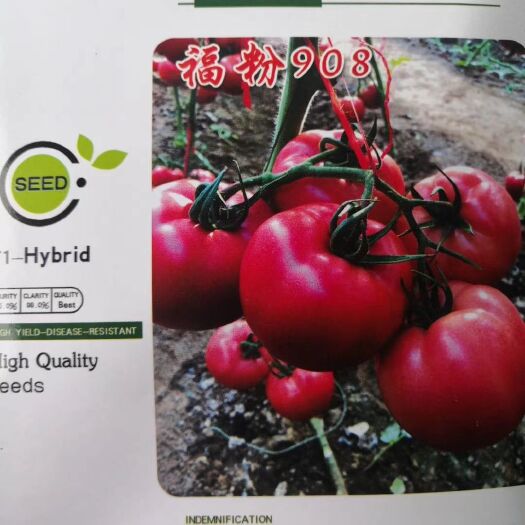 寿光市硬粉番茄种子  粉果西红柿种子