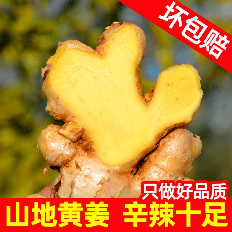 生姜，姜还是老的辣，土生土长的姜