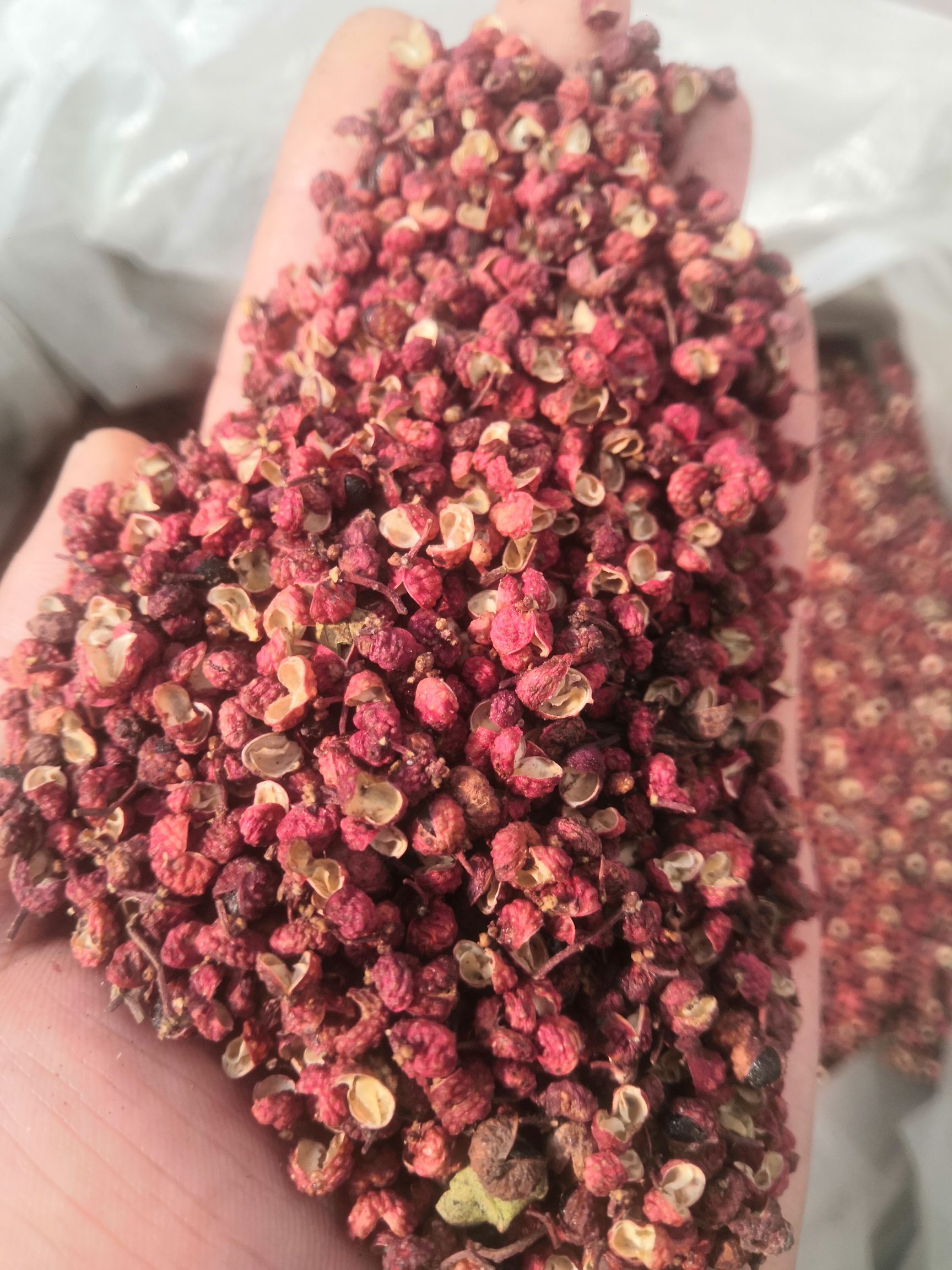 铜川大红袍花椒  陕西2023新大红袍，红花椒颗粒。开口98以上