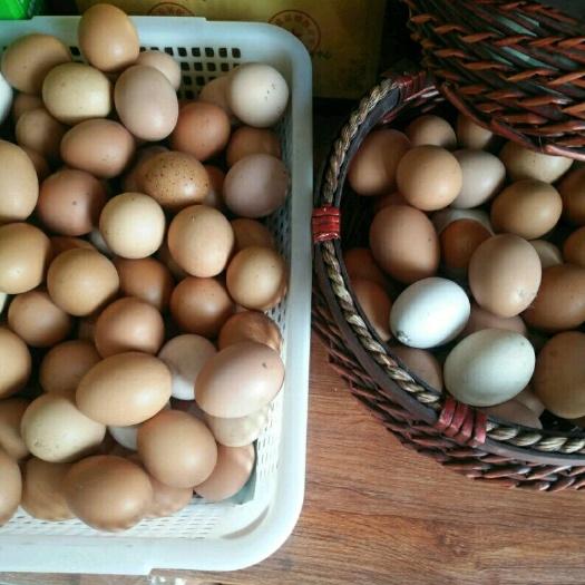 杭锦后旗土鸡蛋  内蒙古笨鸡蛋，颗颗新鲜，蛋香味美，全国一件包邮