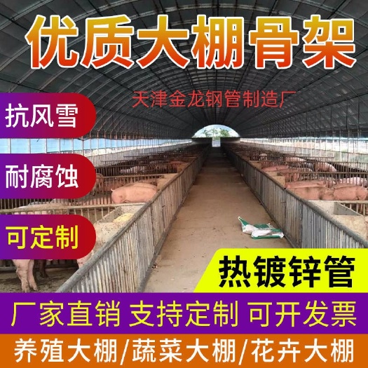 钢管大棚养殖大棚大棚骨架蔬菜大棚大棚设备