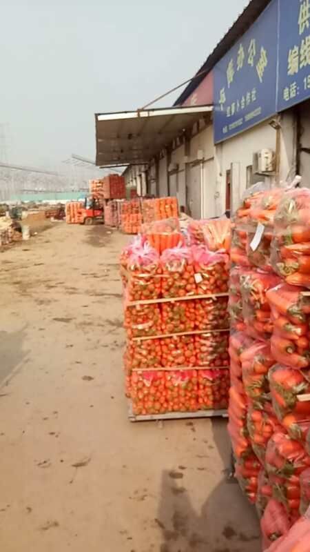 开封沙地杂交新品专业清洗精美包装预冷优质胡萝卜