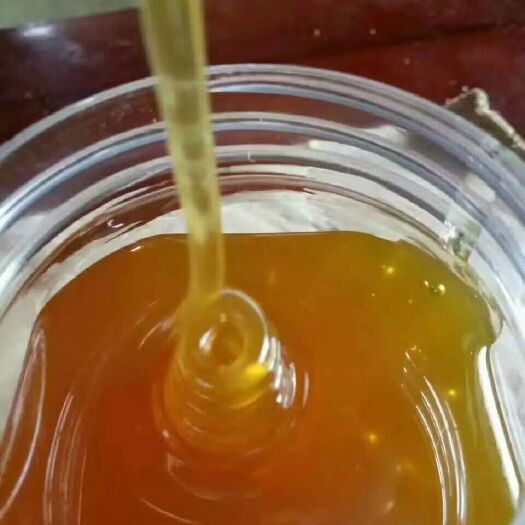 高州市土蜂蜜  蜂蜜