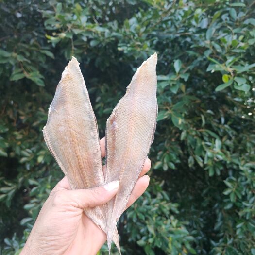 北海龙利鱼干  龙利鱼 牛舌头 子板鱼 舌头鱼 咸鱼干【晒场直销