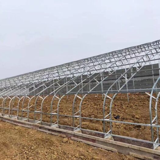 泊头市种植大棚 双膜骨架日光温室
