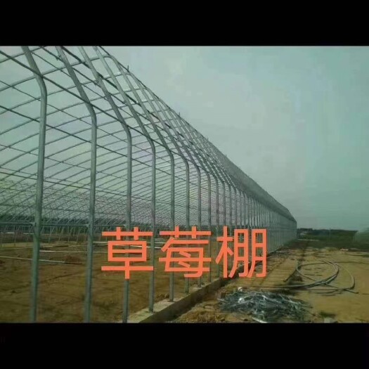 天津 大棚骨架厂家直销，工期快，价格低！