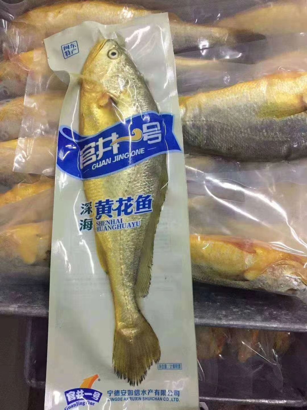  宁德大黄鱼 黄花鱼特产黄瓜鱼新鲜冷冻批发东海养殖新鲜