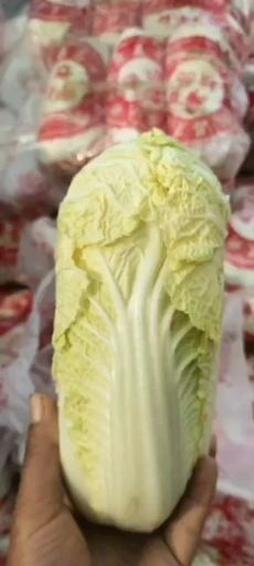 扶沟县黄金娃娃菜 精品娃娃菜