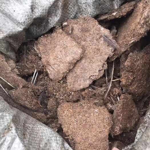 新兴县鸡粪 