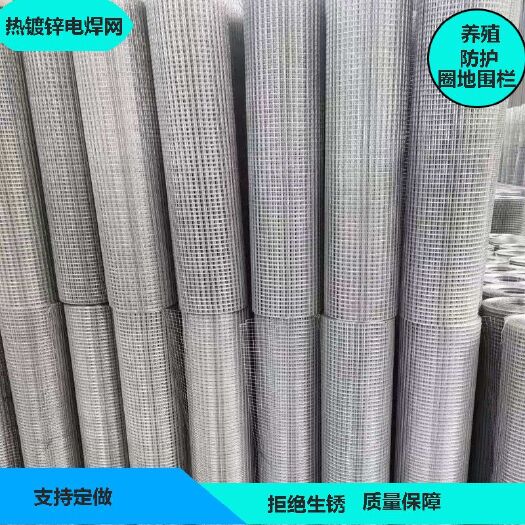 护栏网  热镀锌电焊网铁丝网围栏养殖网多肉防鼠网家用防盗网笼