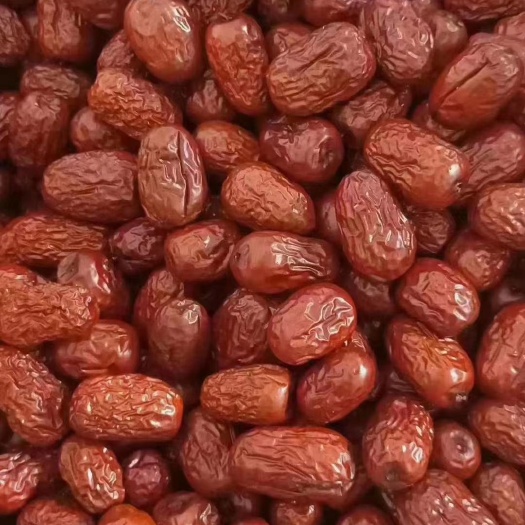 红枣 新疆大枣