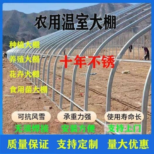 天津蔬菜大棚、种植大棚、枣棚葡萄棚草莓棚西瓜棚西红柿棚
