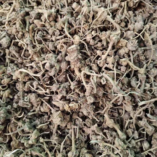 珠子参，扣子七，产地直销，质量保证