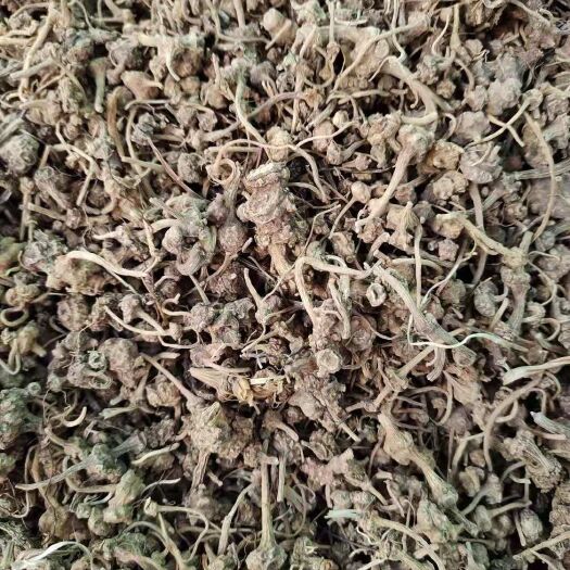 五峰县珠子参，扣子七，产地直销，质量保证