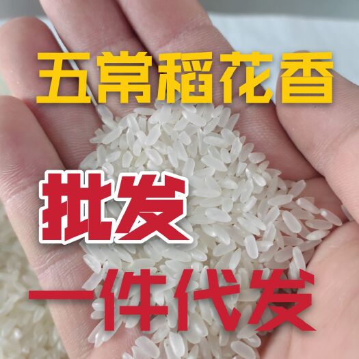 稻花香七号，五常稻花香七号，今年的新米。