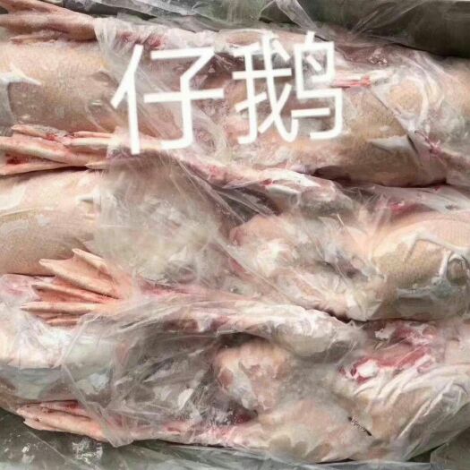 滨州鹅肉类  带心肝仔鹅，价格美丽，厂家直接发货