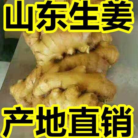 安丘市安丘生姜  优质生姜产地，一手货源质量保证，产地品种齐全。常年有货