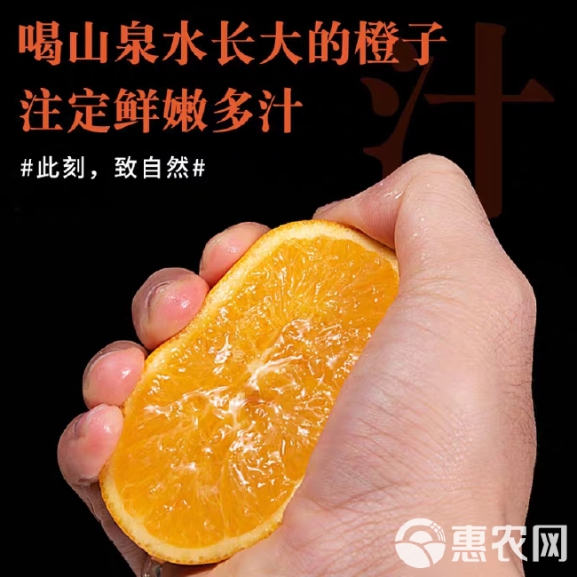 橙子赣南脐橙江西安远基地直发诚招一件代发当季水果纽贺尔脐橙